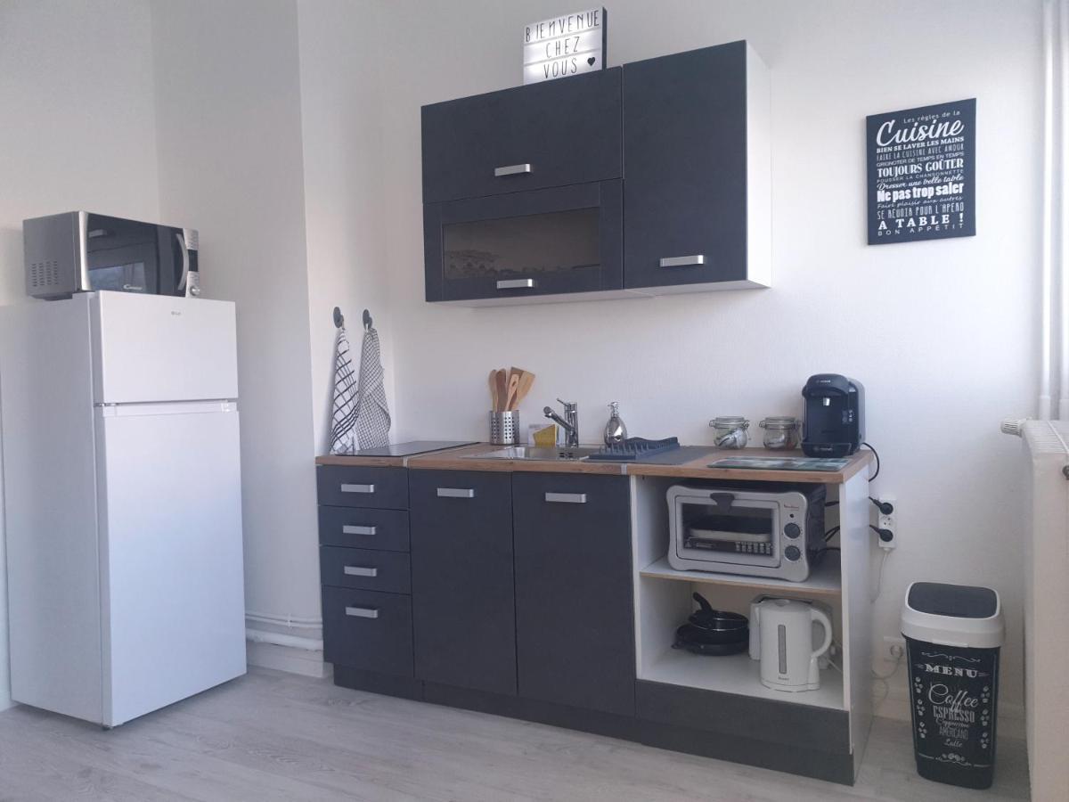 Appartement La Roseraie Parking Prive Mâcon Dış mekan fotoğraf