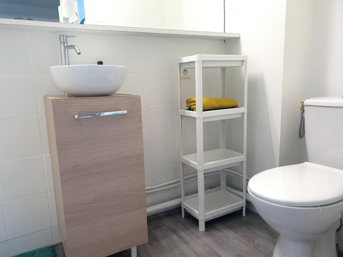 Appartement La Roseraie Parking Prive Mâcon Dış mekan fotoğraf