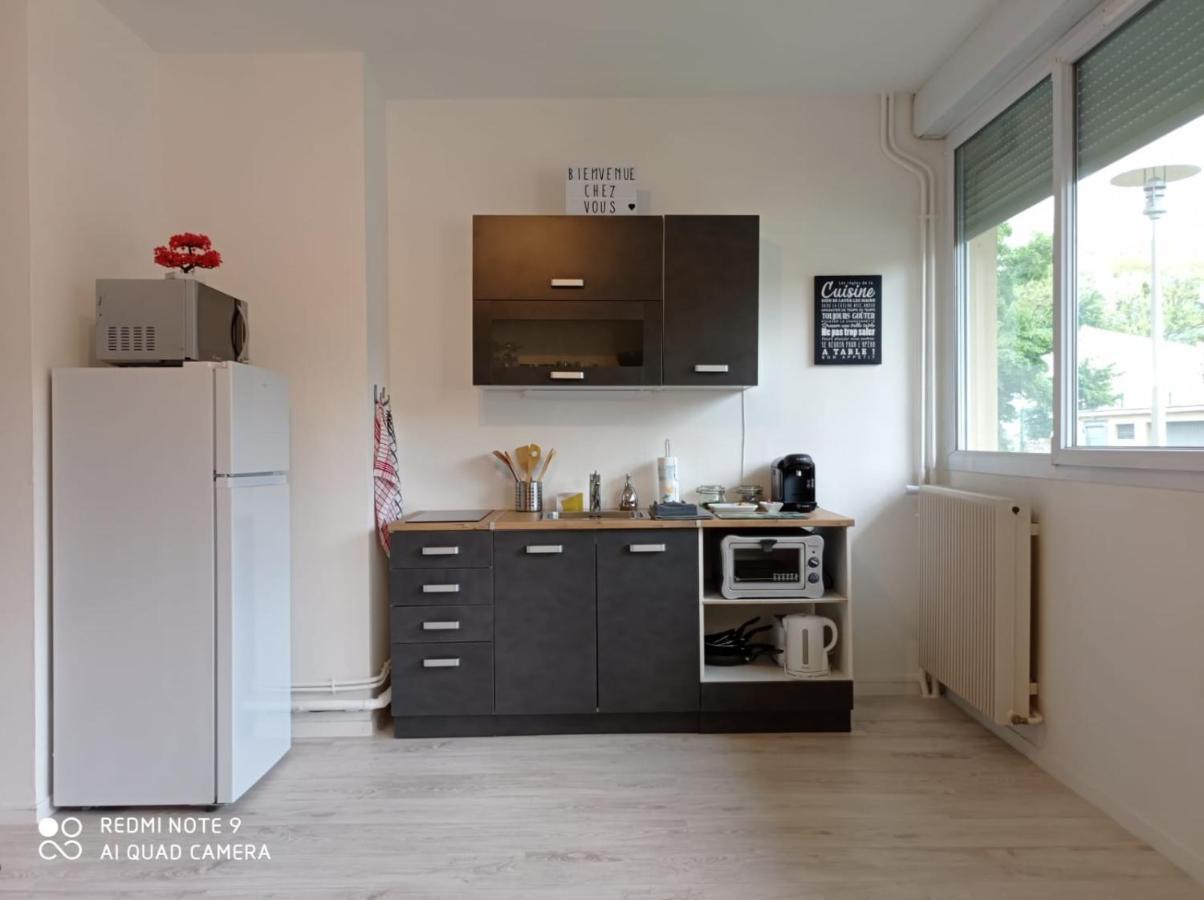 Appartement La Roseraie Parking Prive Mâcon Dış mekan fotoğraf