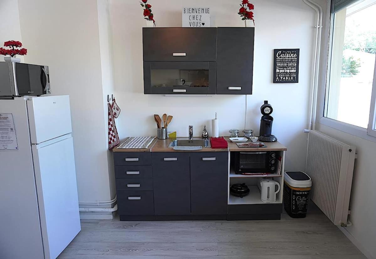 Appartement La Roseraie Parking Prive Mâcon Dış mekan fotoğraf